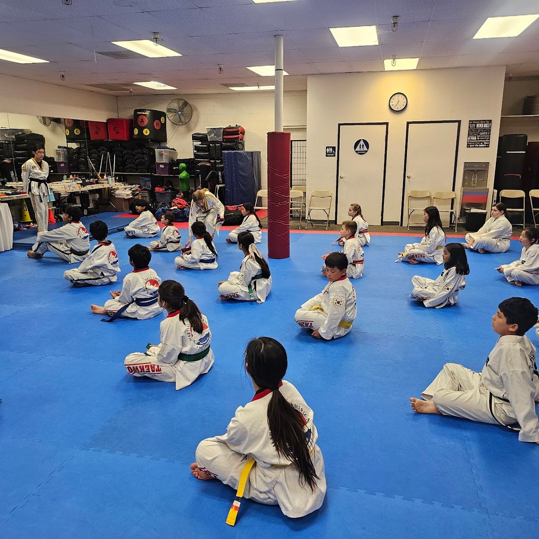Martial Arts America 2
