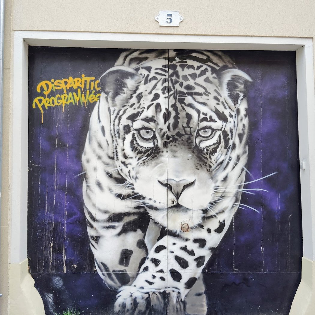 Street Art Crey 132 "Disparition programmée" 3