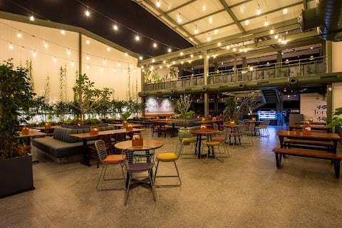 Terrace by House of Commons 2