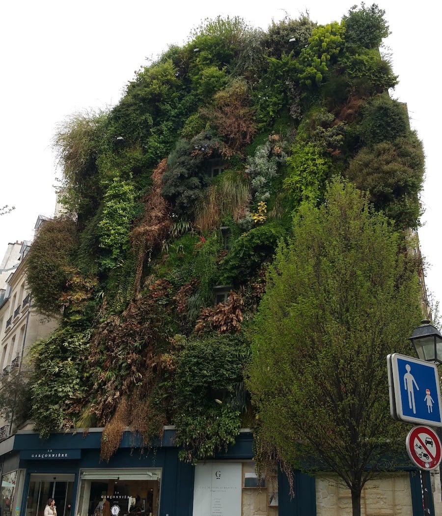 Vertical Garden 2