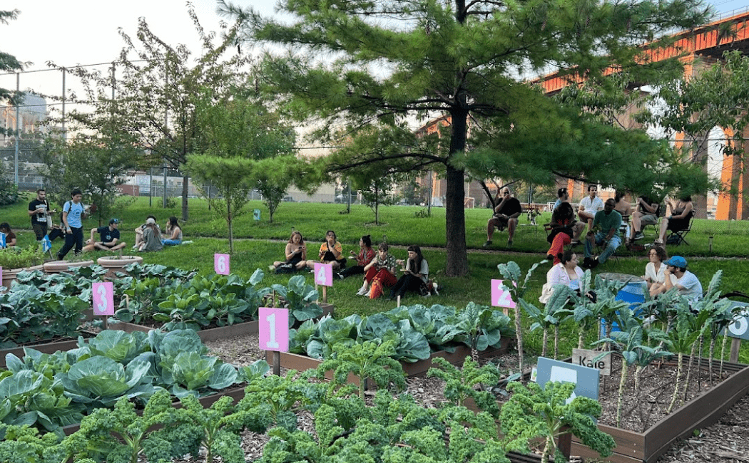 Urban Farm Volunteers 2