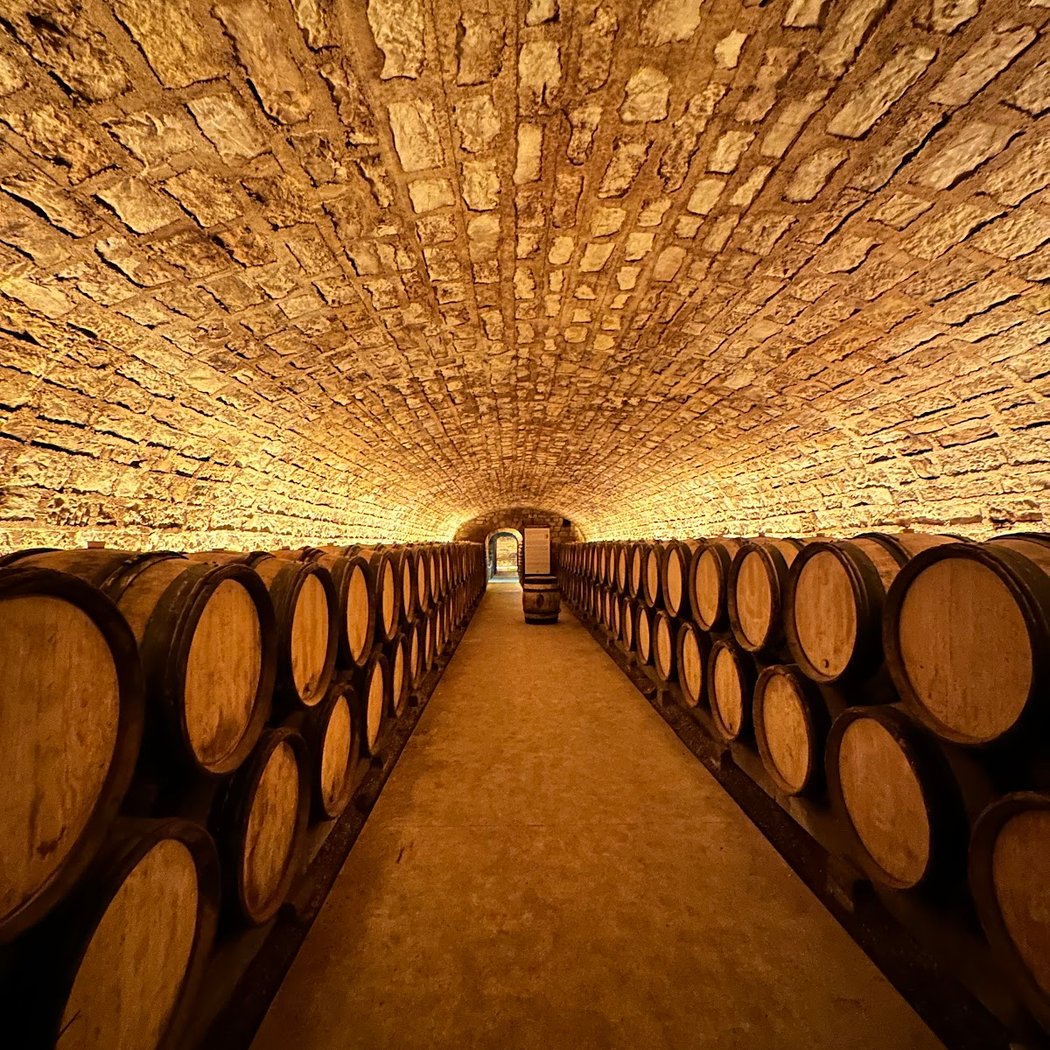 La Grande Cave de Vougeot 3
