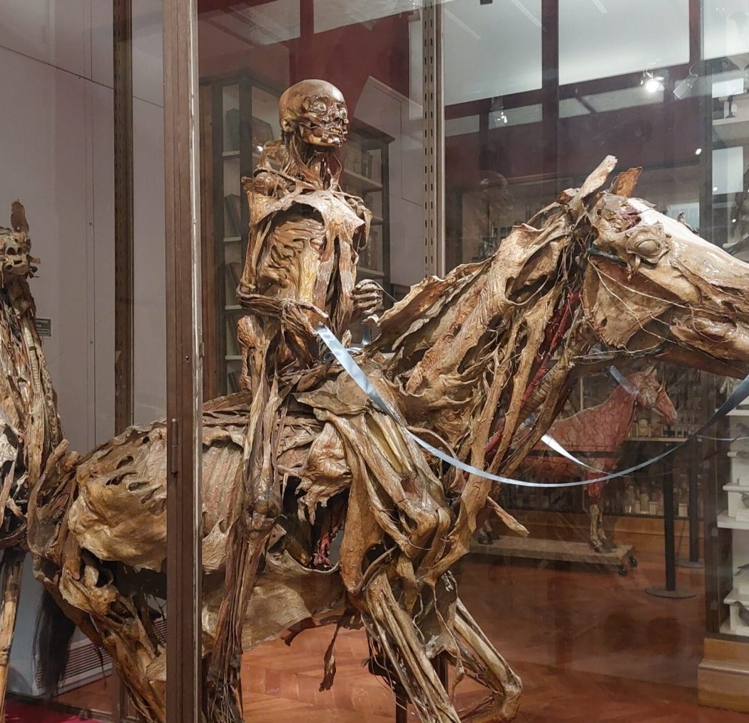 Fragonard Museum 1