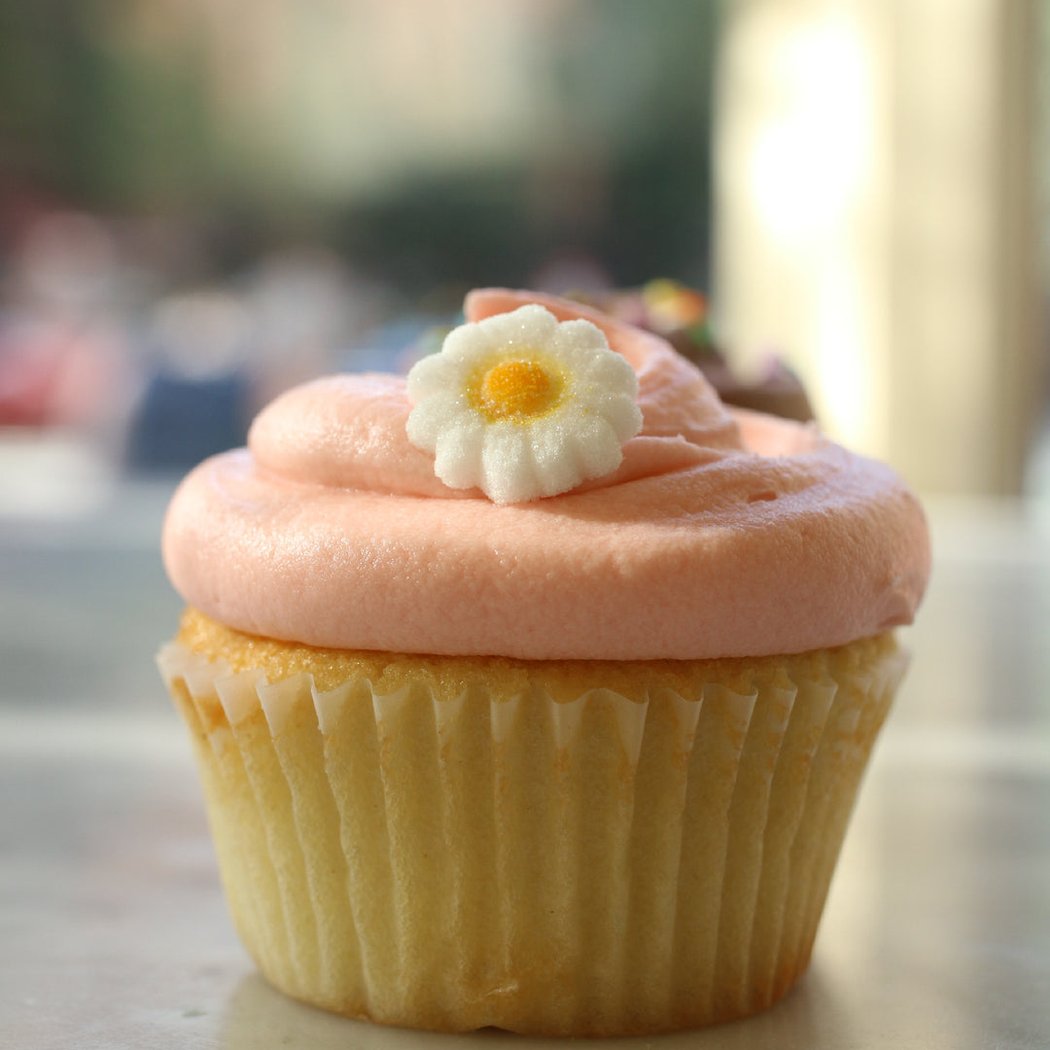Cupcake Baking & Icing Experience 2