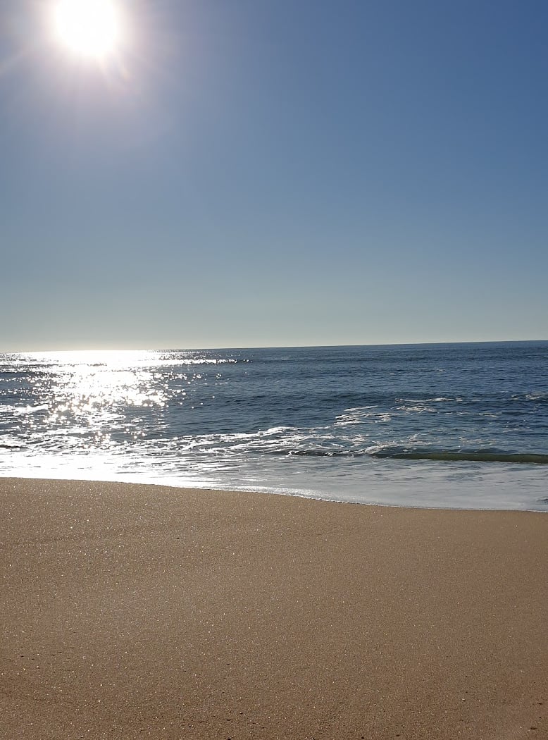 Concours de châteaux de sable 4