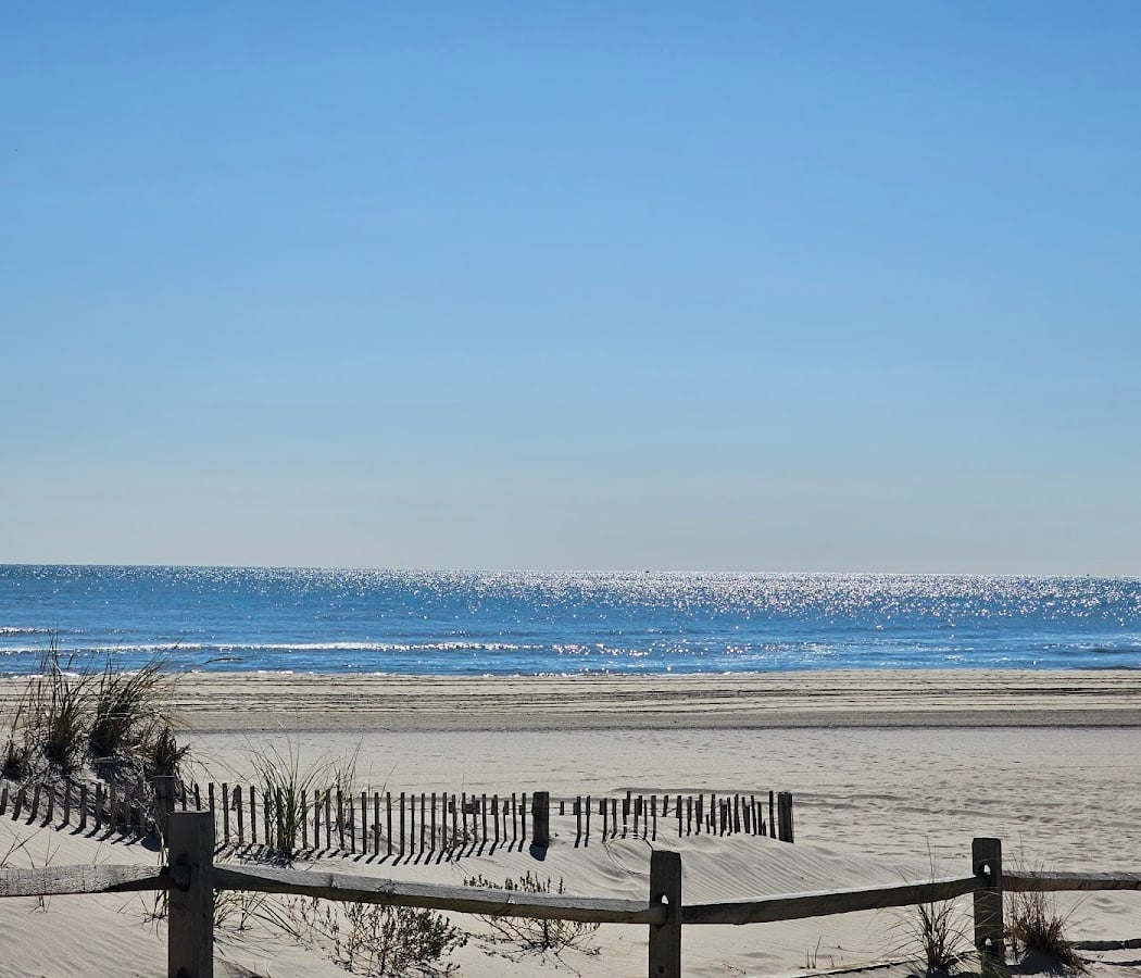 Beachstock 2026 1