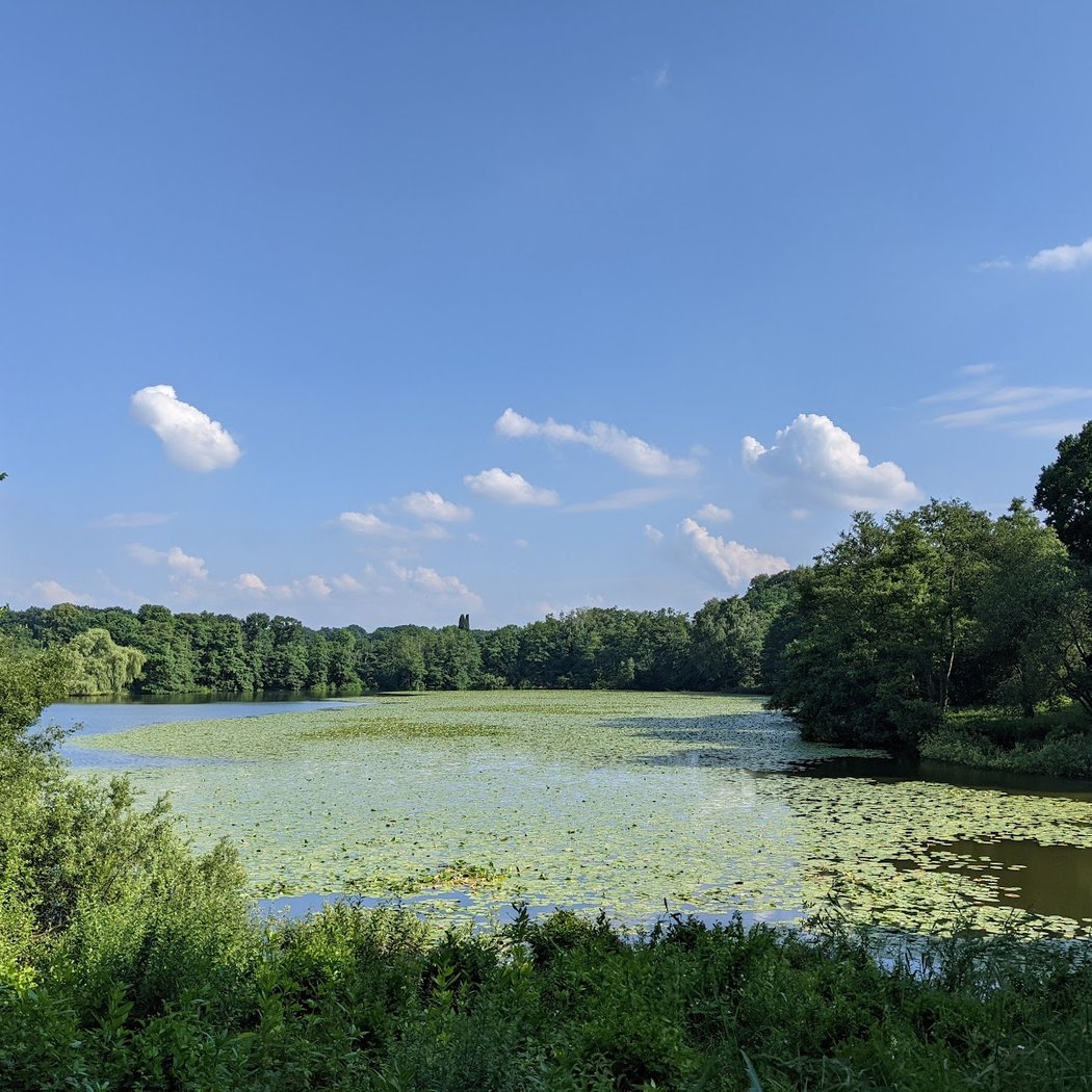 Harburger Stadt Park 2