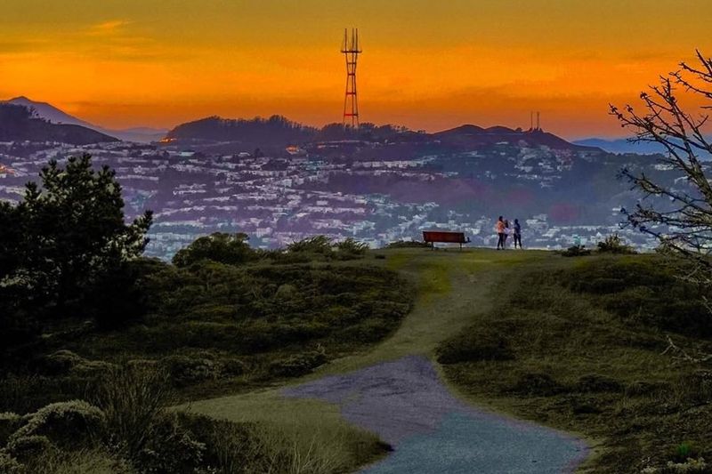 San Bruno Mountain 1