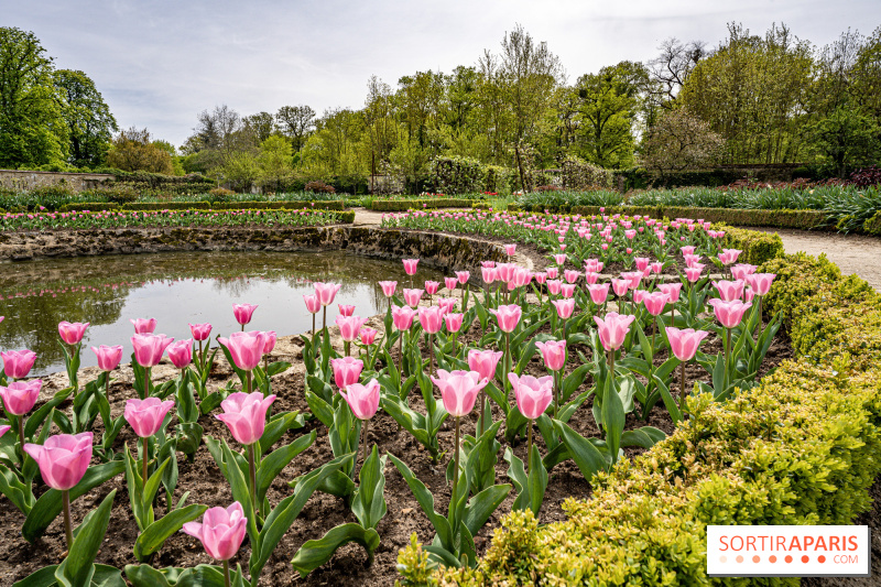 Rendez-vous aux Jardins 1