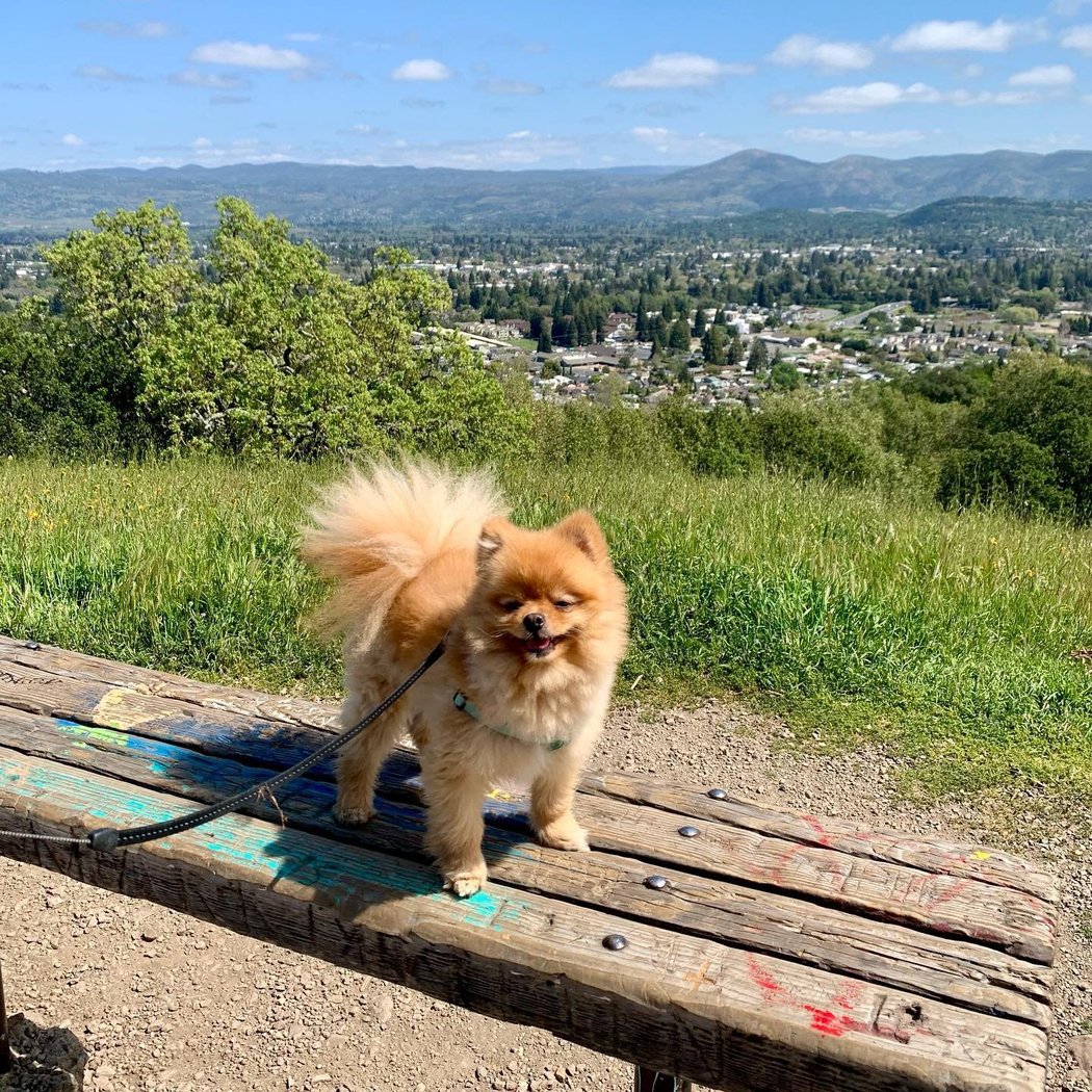 Westwood Hills Park 2