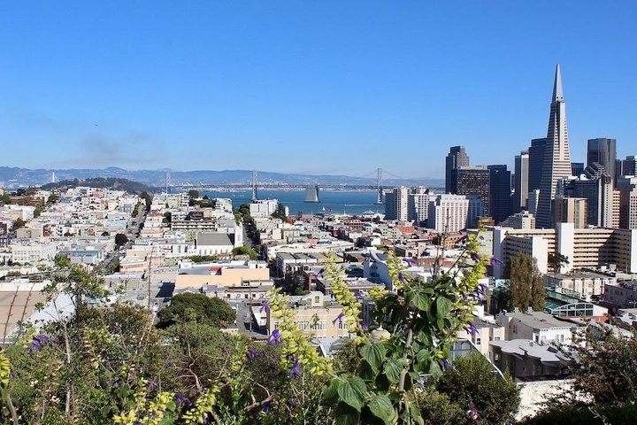 San Francisco Urban Hike: Coit Tower, Lombard Street and North Beach 3