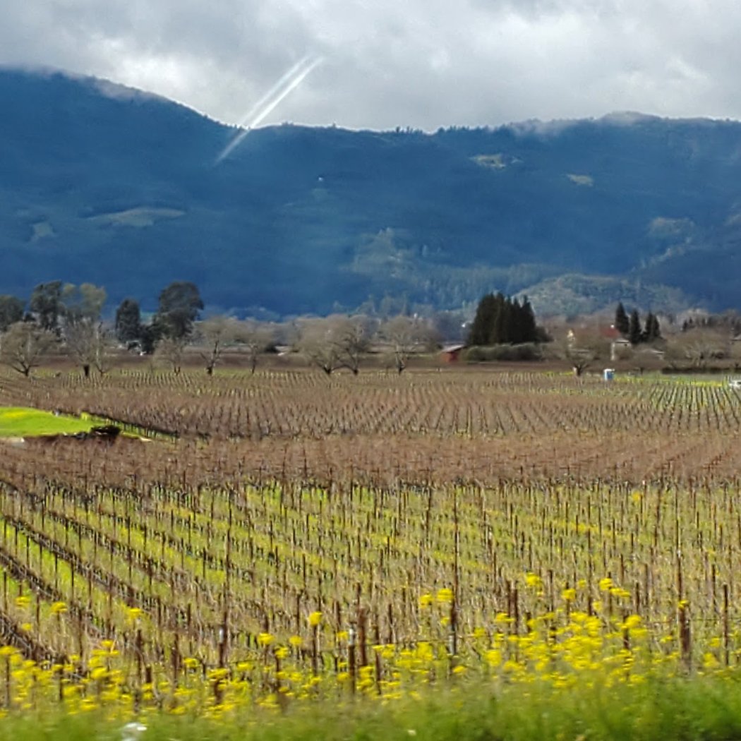 Napa Parks and Recreation 1