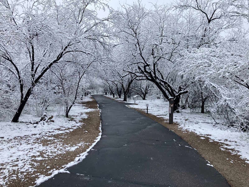 Agua Caliente Park 3