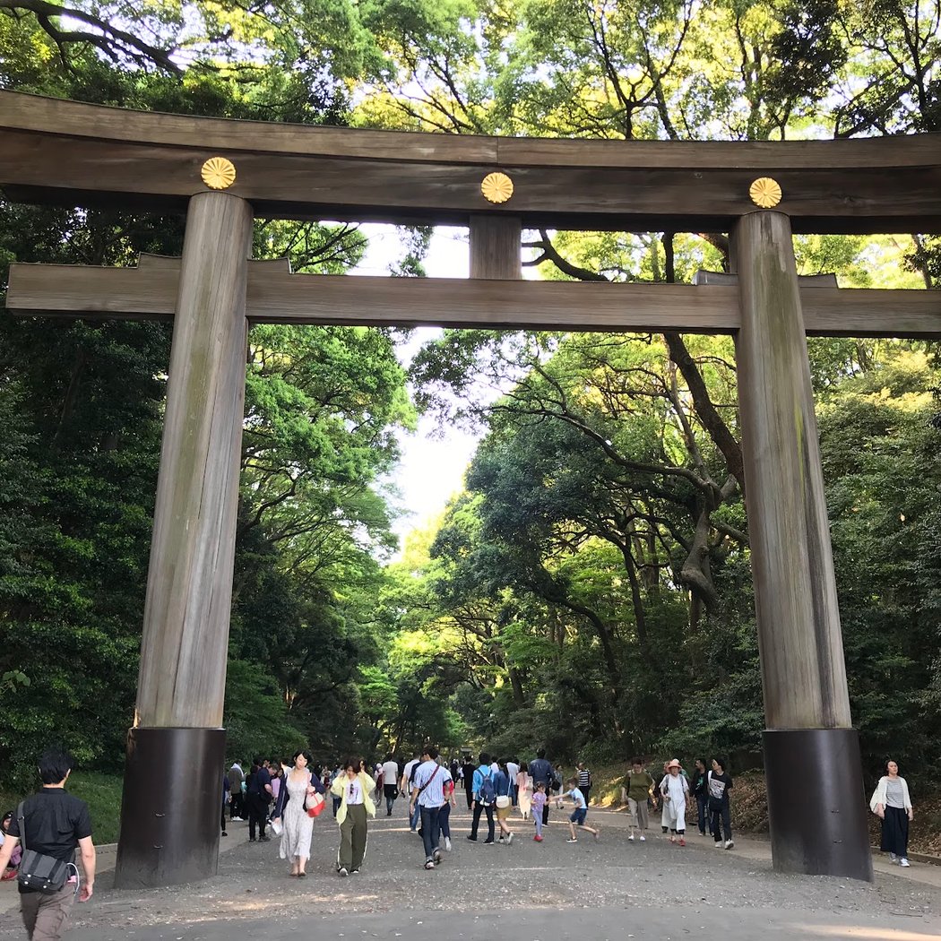 Yoyogi Park 3