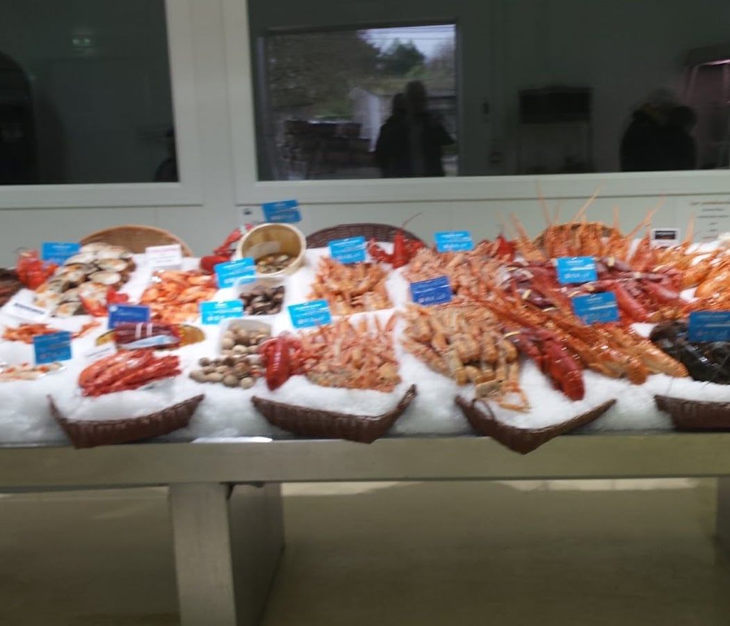 Fish Brenne 2