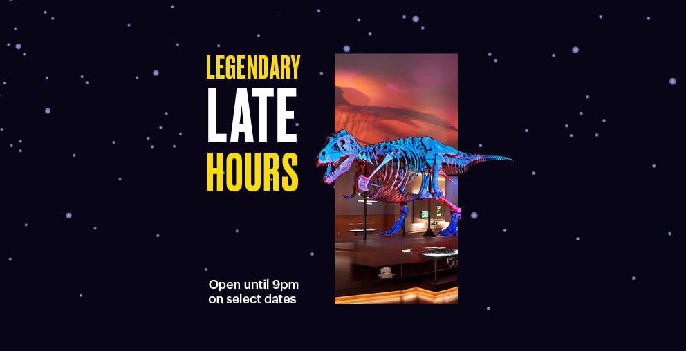 Legendary Late Hours 1