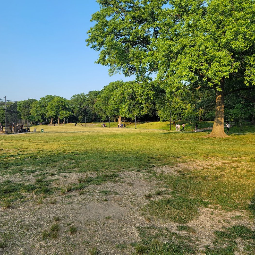 Cunningham Park Dog Run 3