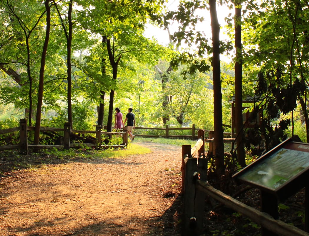 River Trail Nature Center 2