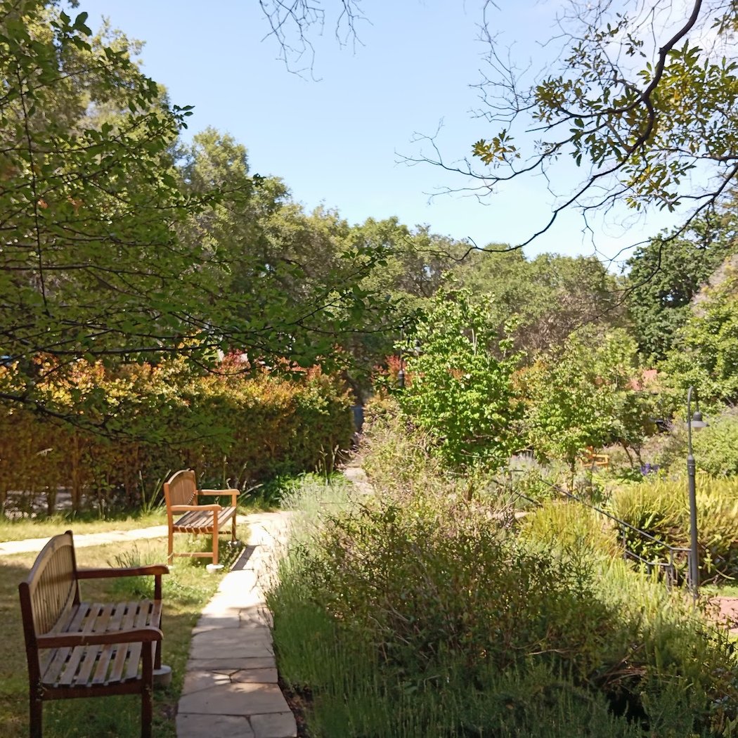 Women's Faculty Club 2