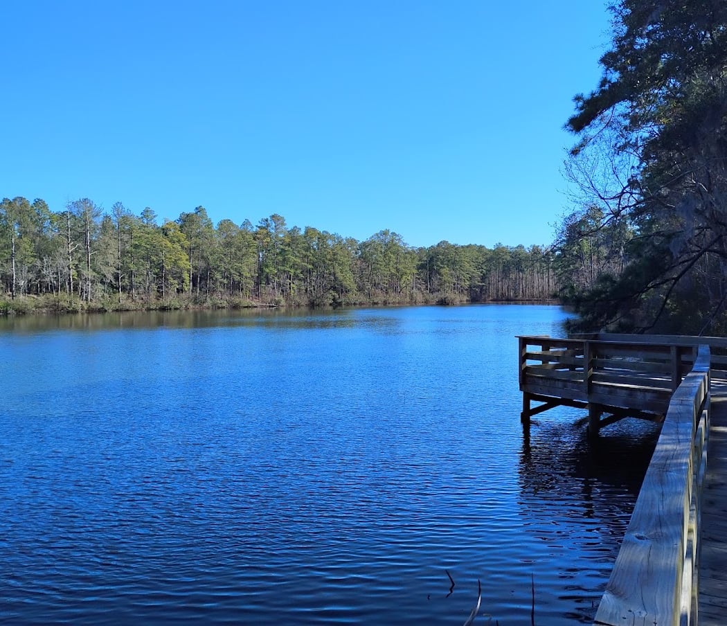 Millers Pond Park 1