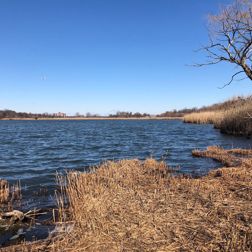 Willow Lake 2