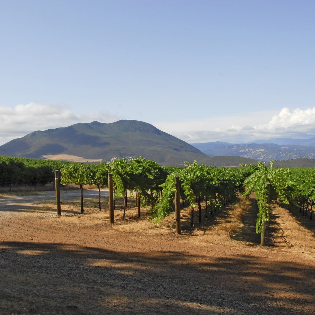 Wines of Lake County & The Sierra 3