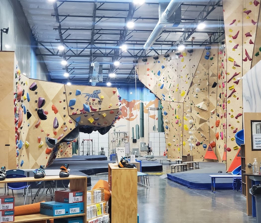 Indoor Climbing with The Phoenix 2