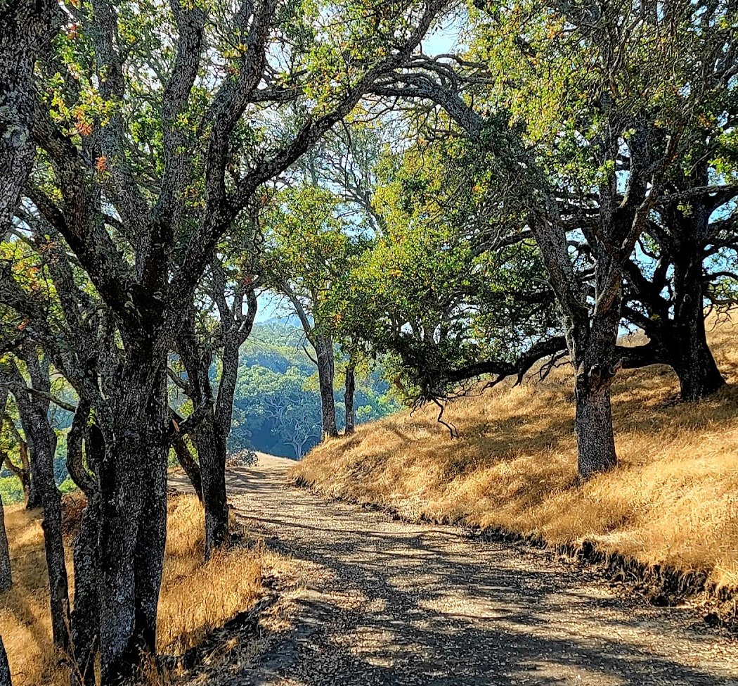 Long Walk: Briones to John Muir National Historic Site 1