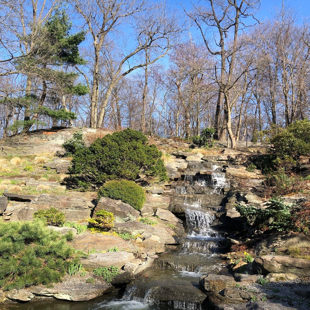 Rock Garden, NYBG 3