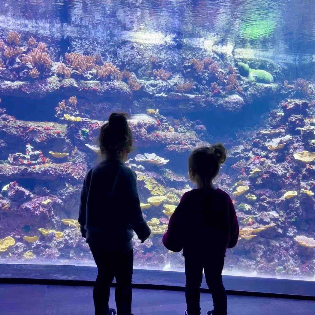 Aquarium de Paris 2