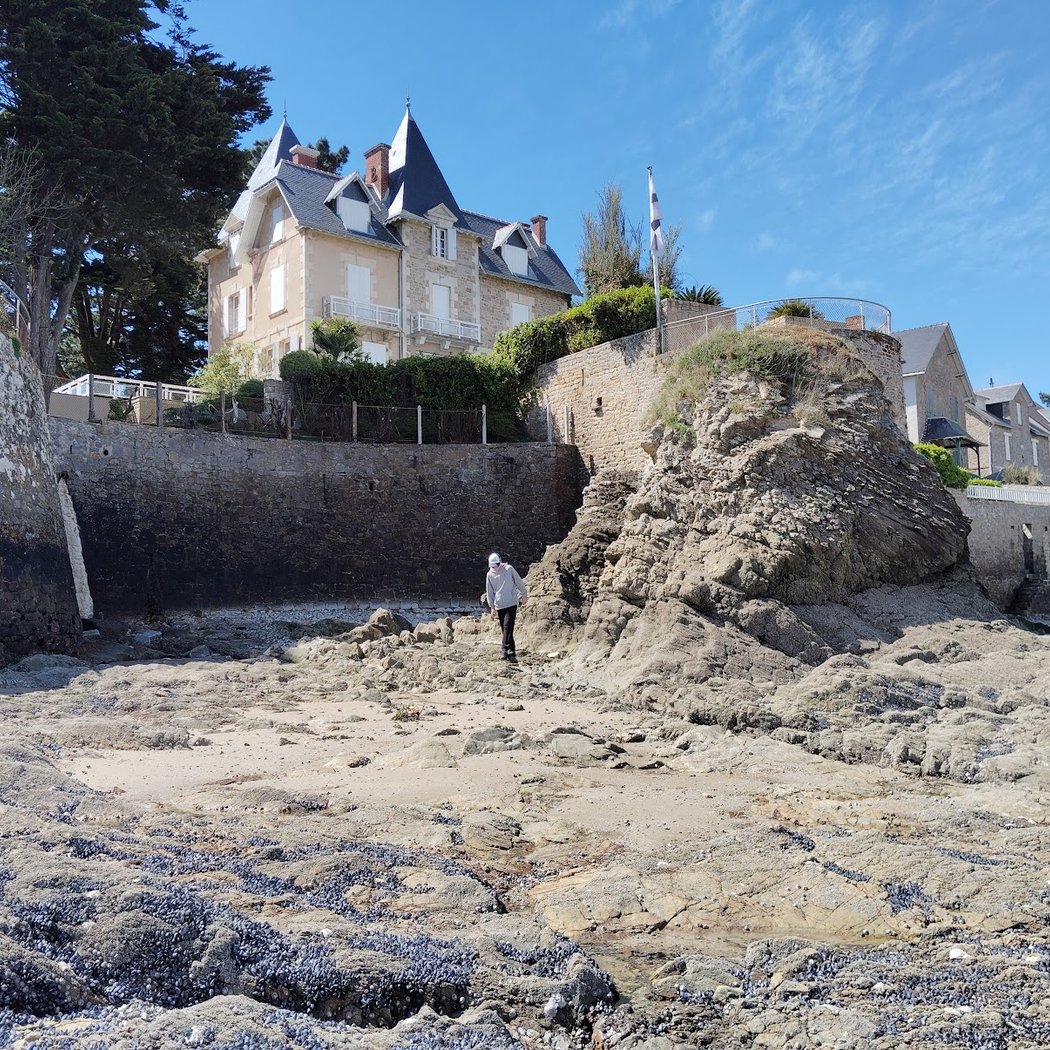 Visites guidées : Du port à la plage 2