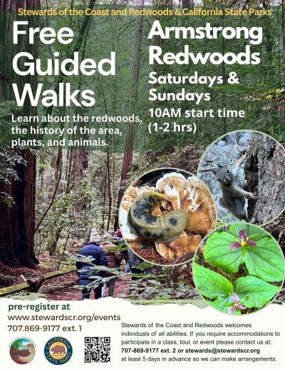 Armstrong Redwoods State Natural Reserve 1