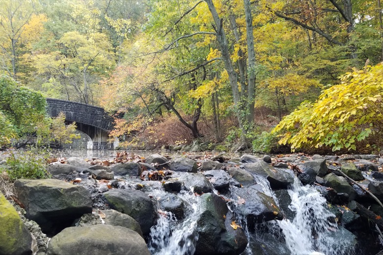Birding Clove Lakes Park 3