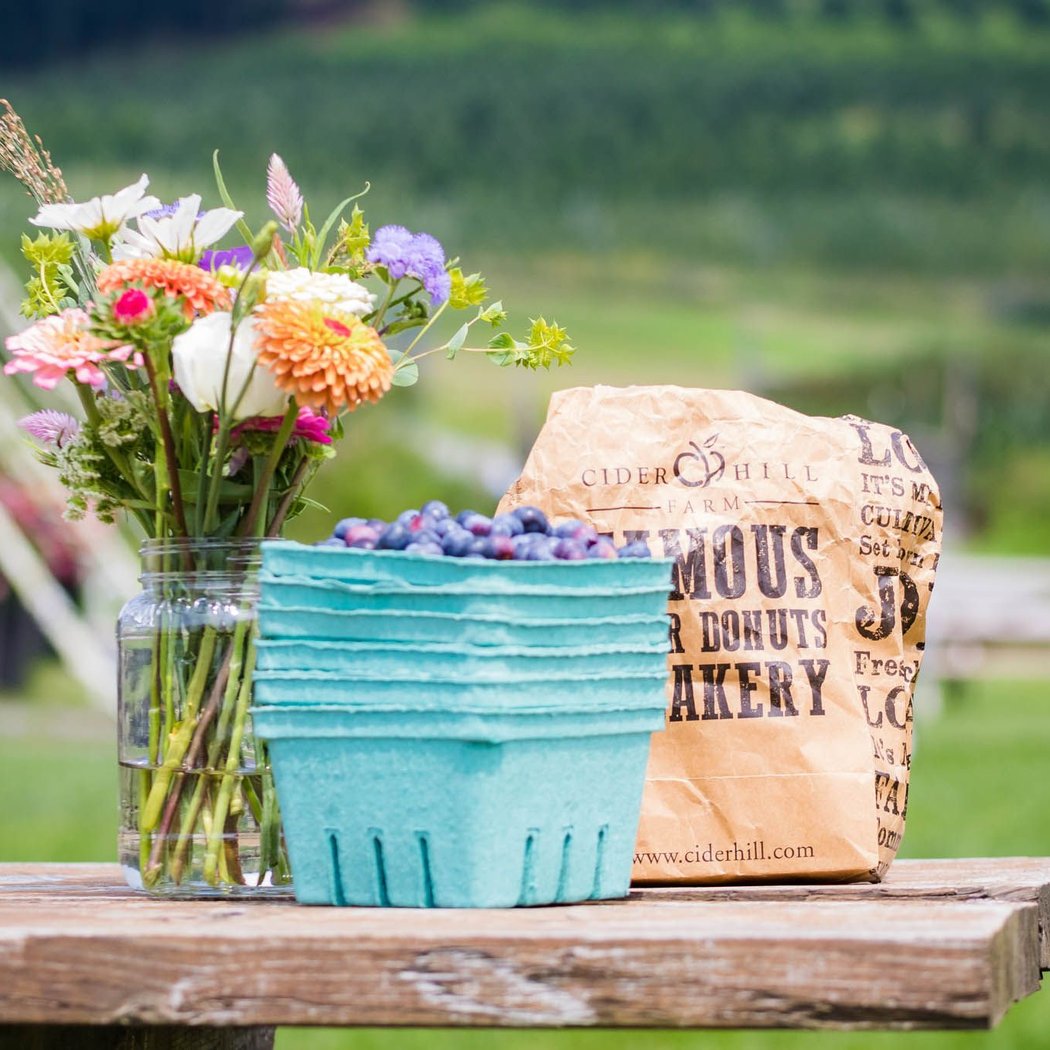 Blueberry & Flower Fest 2