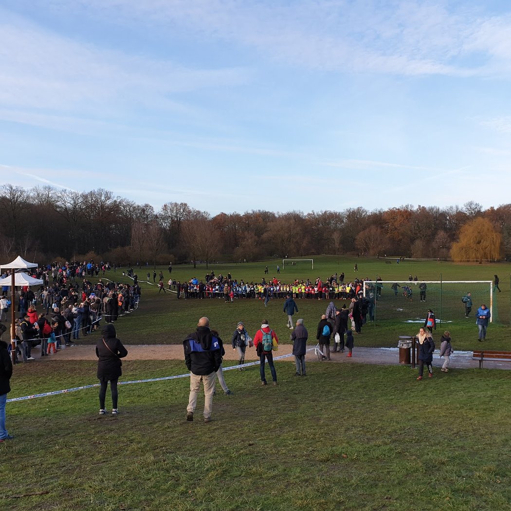 Terrains de rugby de Sucy-en-Brie 1