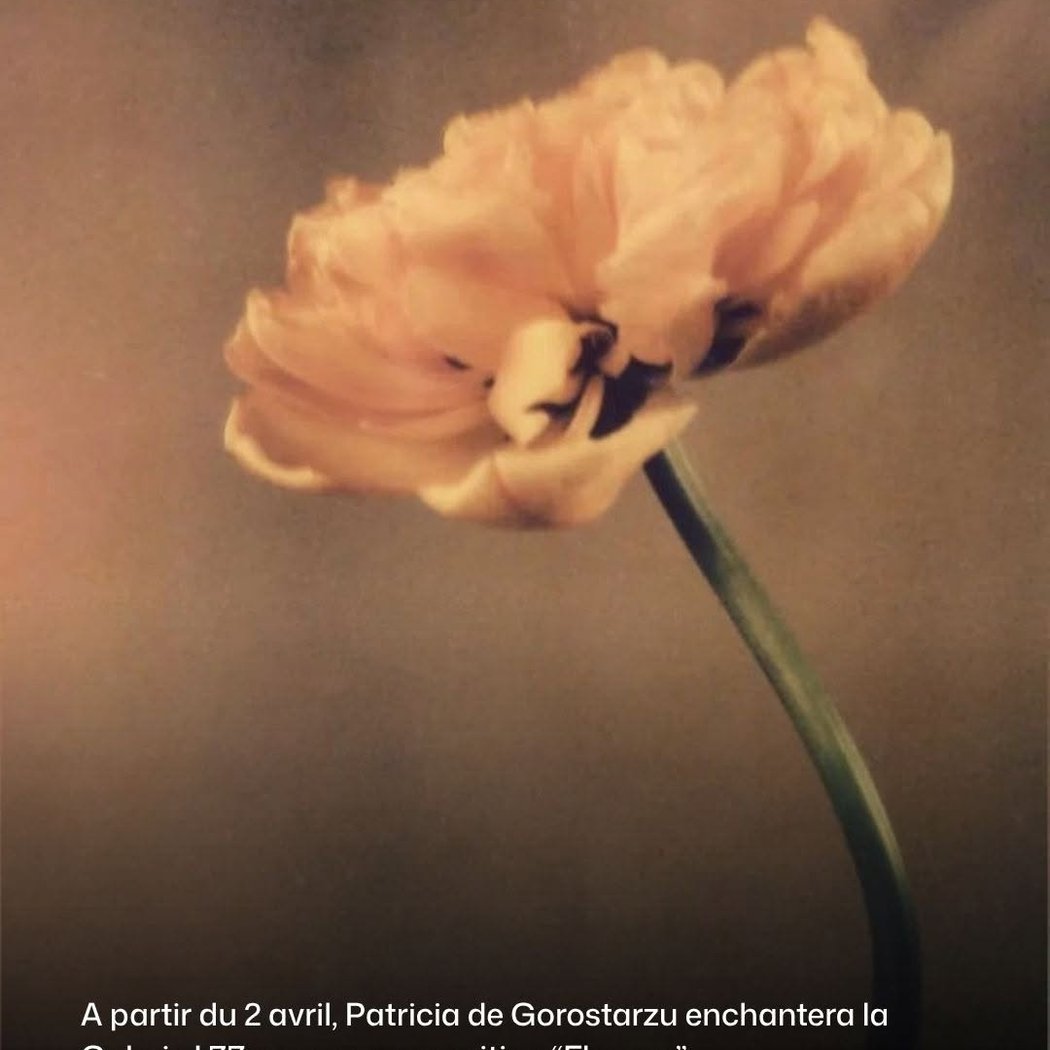 Flowers 1