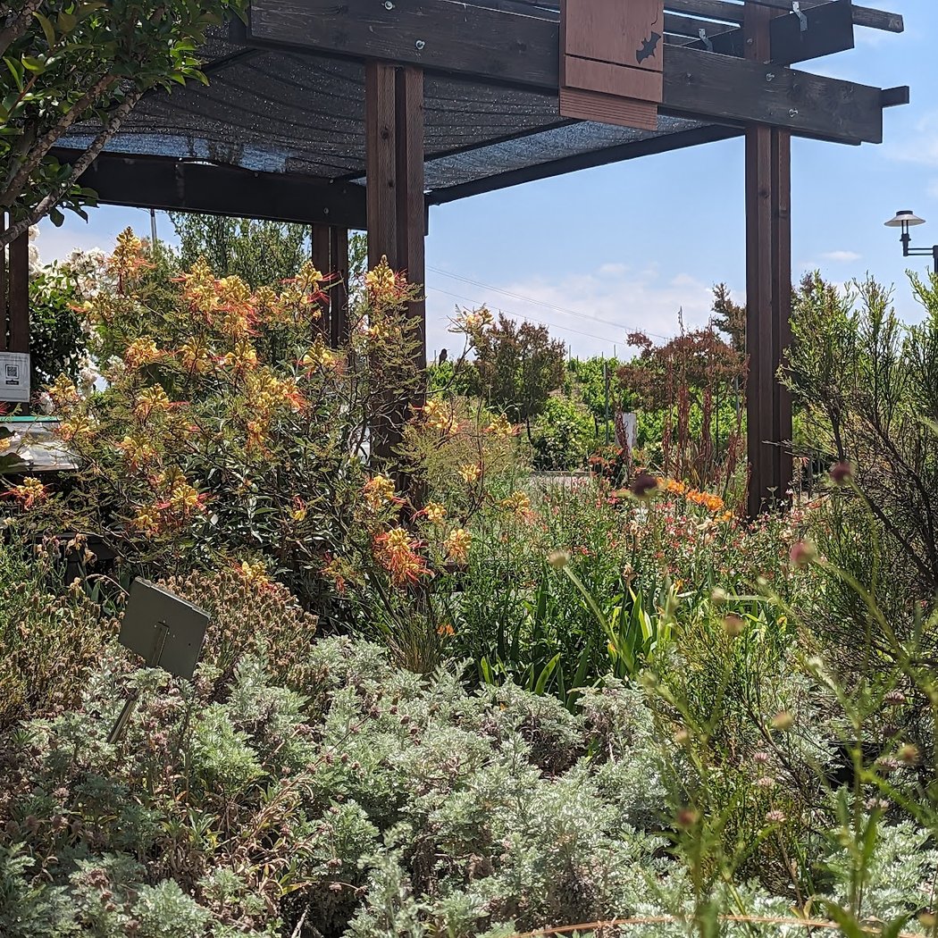 Master Gardeners of Alameda County Livermore Demonstration Garden 3