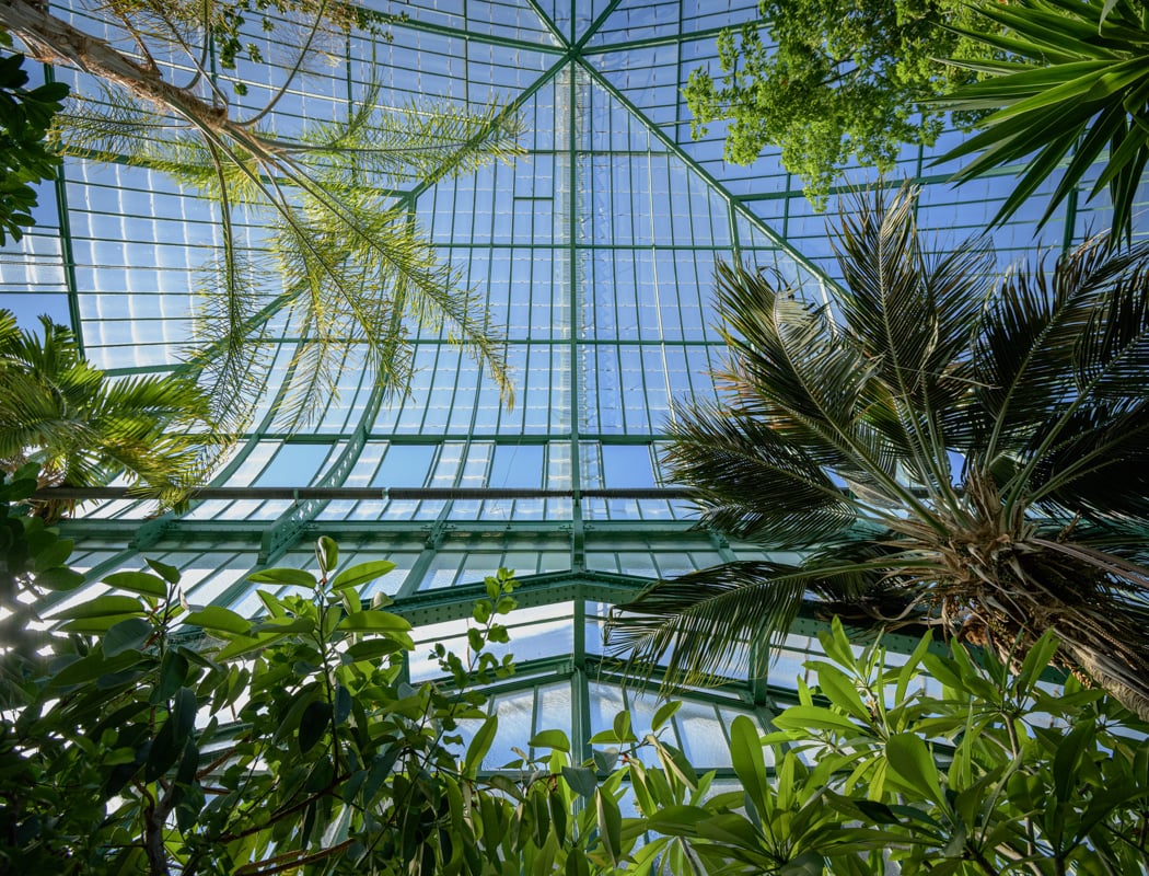 Jardin des Serres d’Auteuil 3