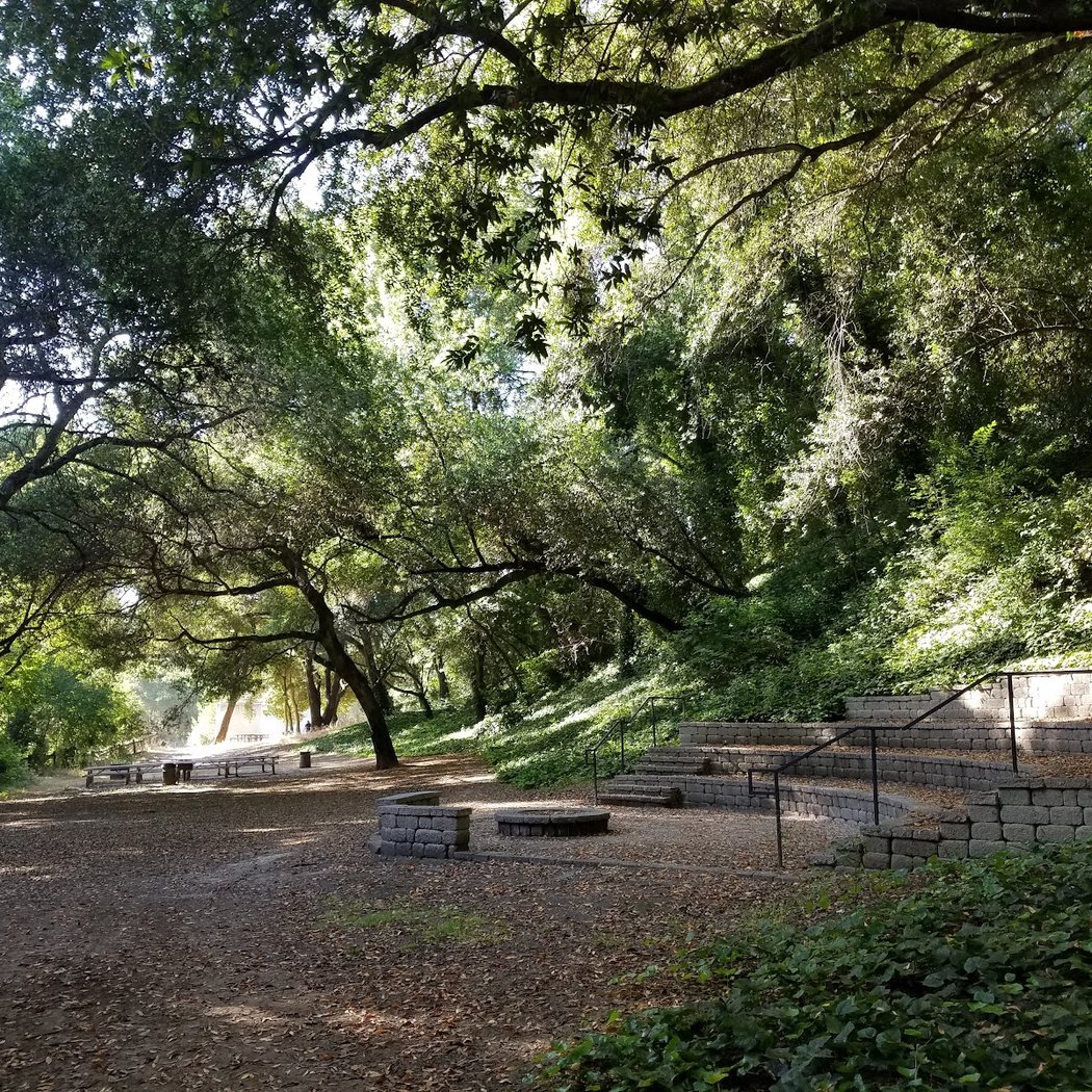 Bay Trees Park 2