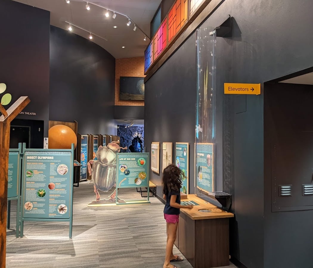 Flandrau Science Center and Planetarium 3