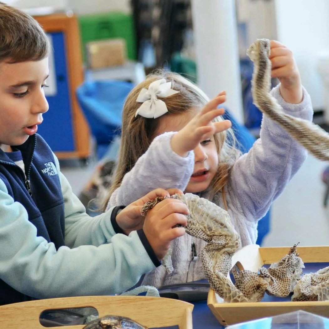 Open Hours at the Environmental Education Center 1