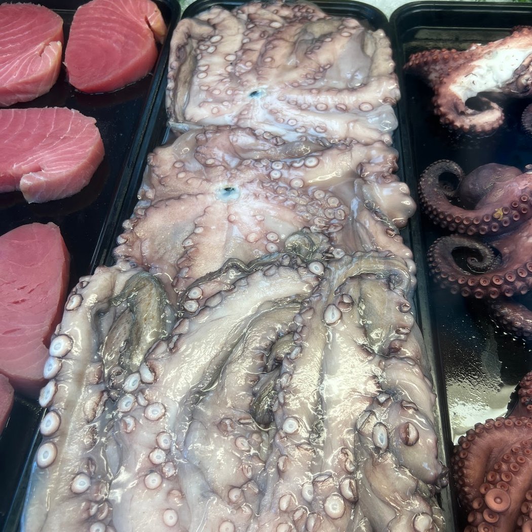 FreshCo Fish - Kendall 1