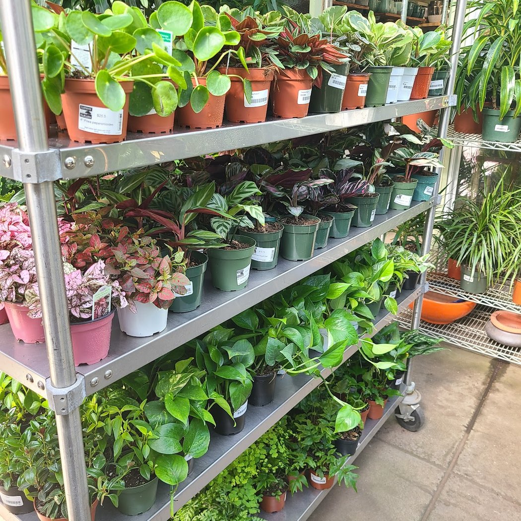 Clement Nursery 3