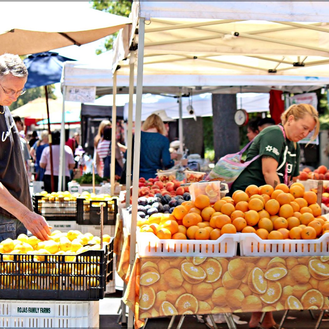 Santa Clara Farmers Market