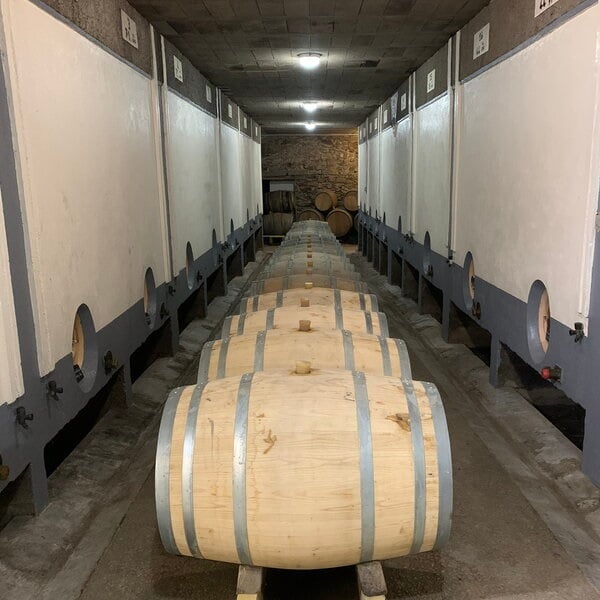 VIGNOBLE DROUARD 3