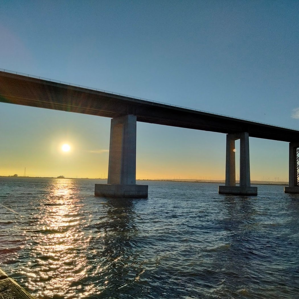 Antioch/Oakley Regional Shoreline 3
