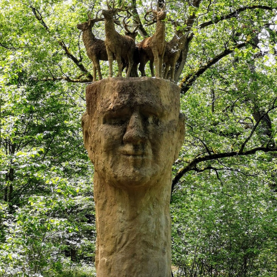 Foret de Rougeau 1