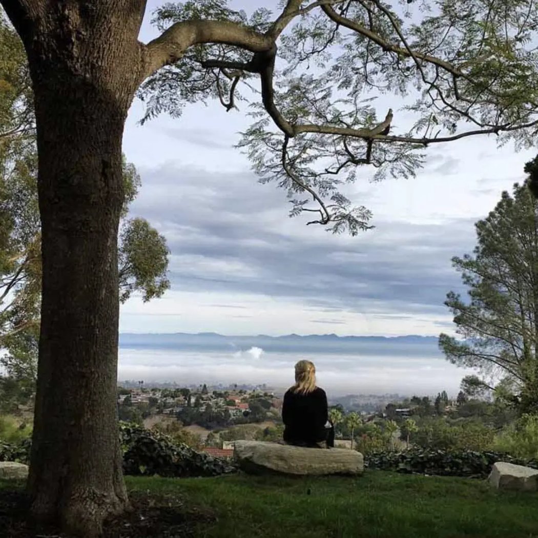 Annual Summer Insight Retreat 3