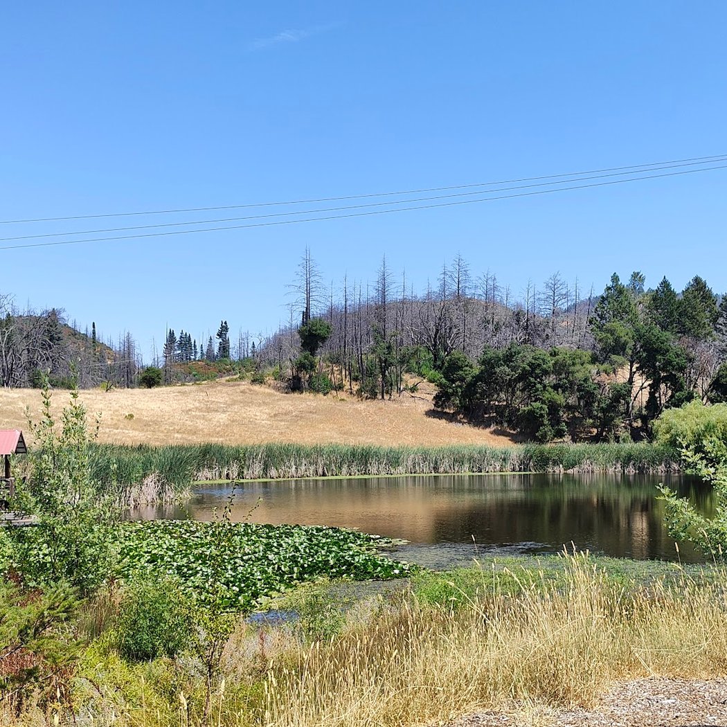 Volunteer Opportunity with LandPaths 2
