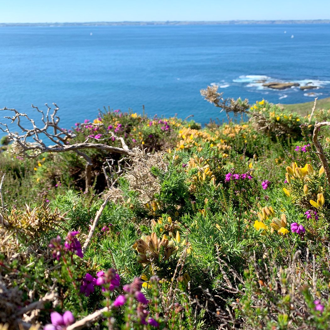 Cap de la Chèvre 3